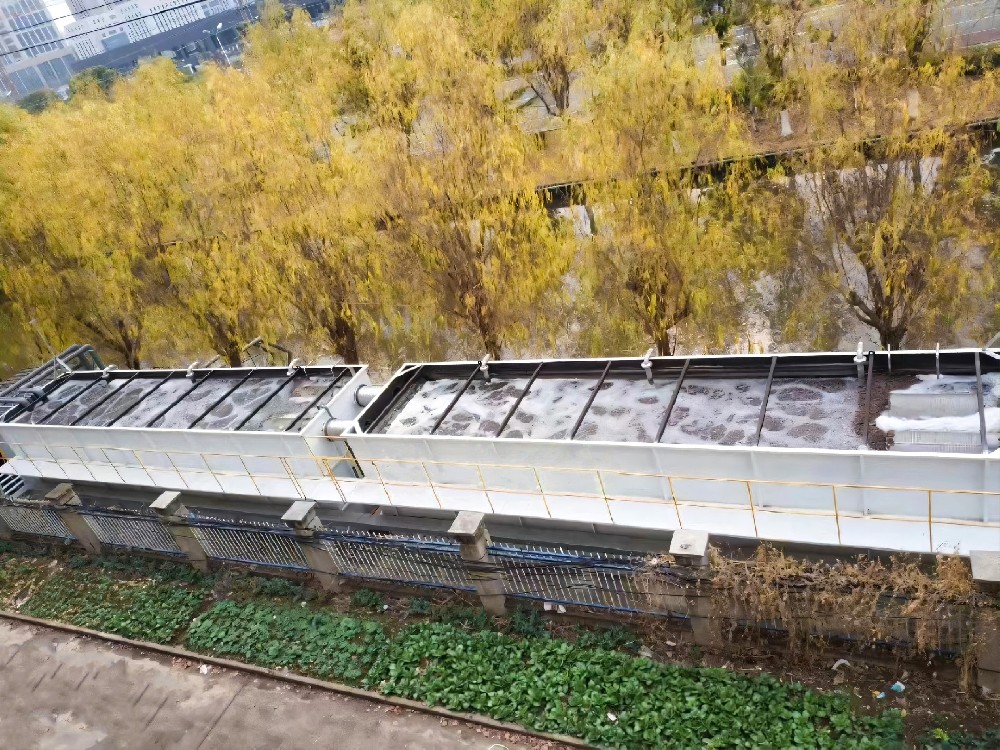 揭秘！泳池污水如何變清